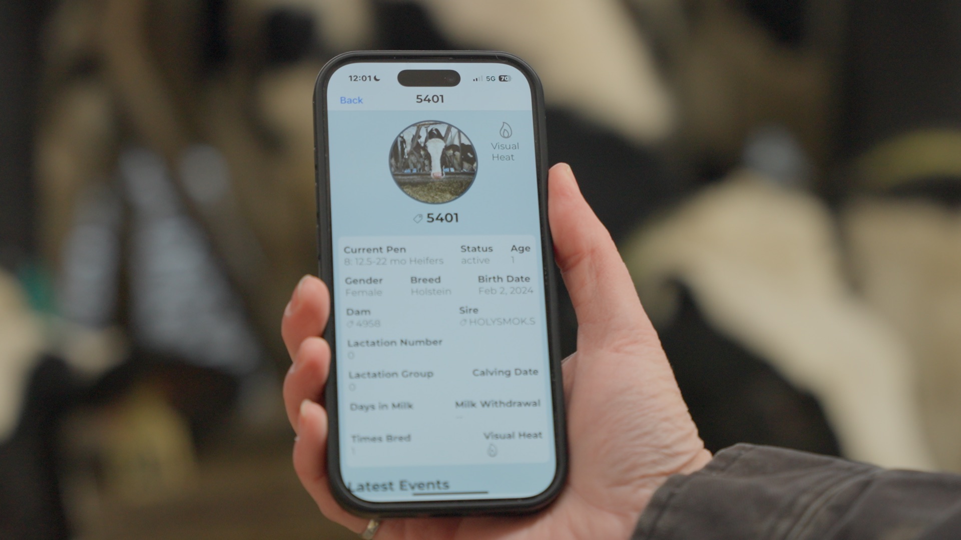 Customization & Automation