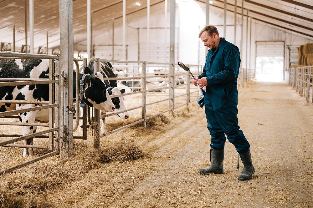 Dairy Farmer / Farm Owner