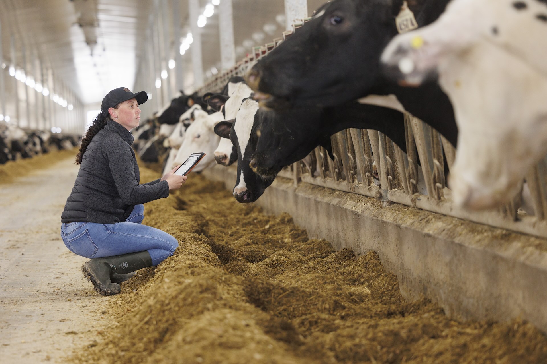 Canadian dairy farmer with her herd