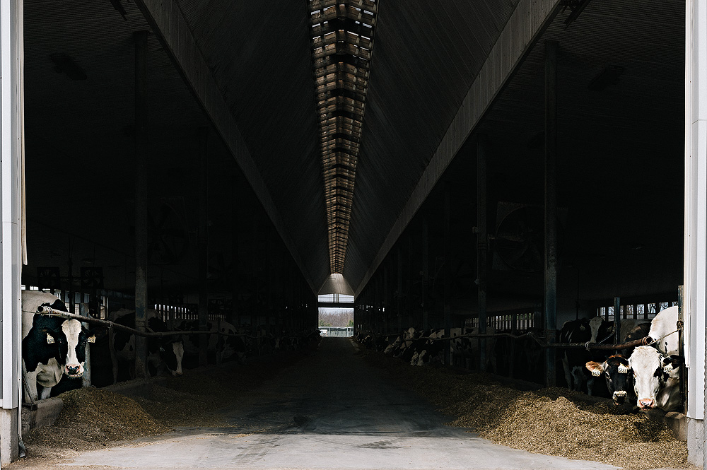 Your Winter Readiness Checklist