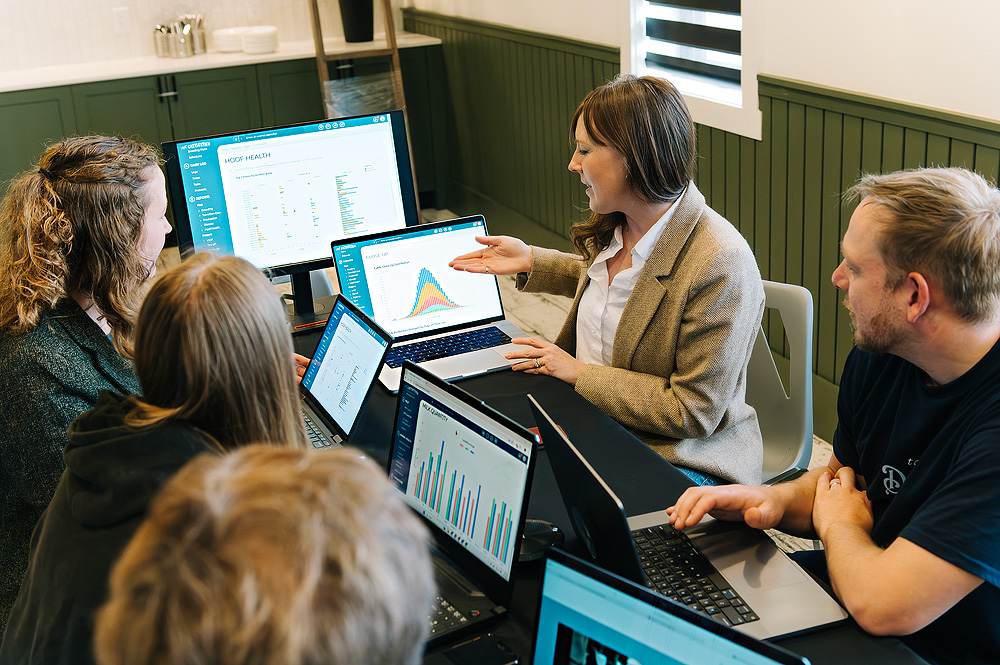 Insights & Reporting